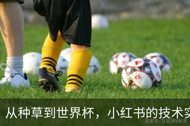 从种草到世界杯，小红书的技术实力藏不住了