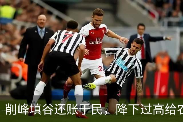 削峰填谷还账于民，降下过高给农民养老金补到1000可行性