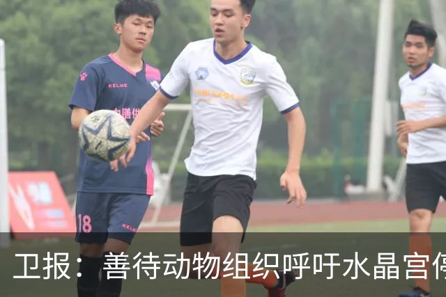 卫报：善待动物组织呼吁水晶宫停用活体白头海雕作为吉祥物