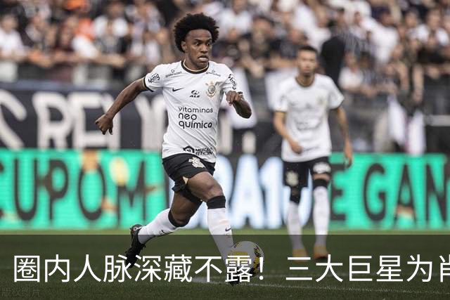 圈内人脉深藏不露！三大巨星为肖战演唱会送花篮，肖战口碑爆棚