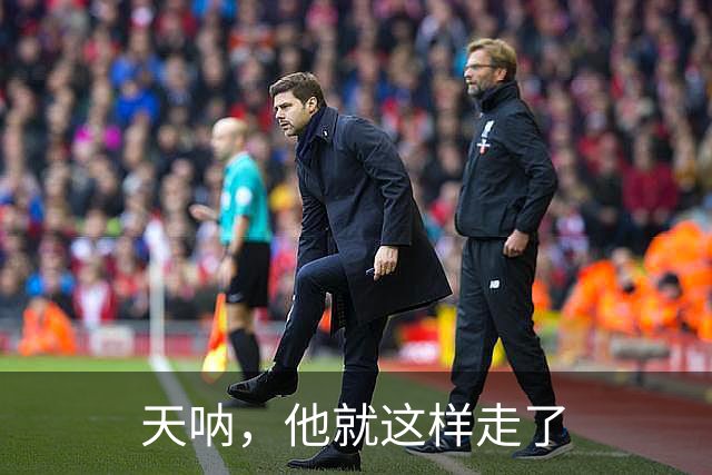天呐，他就这样走了