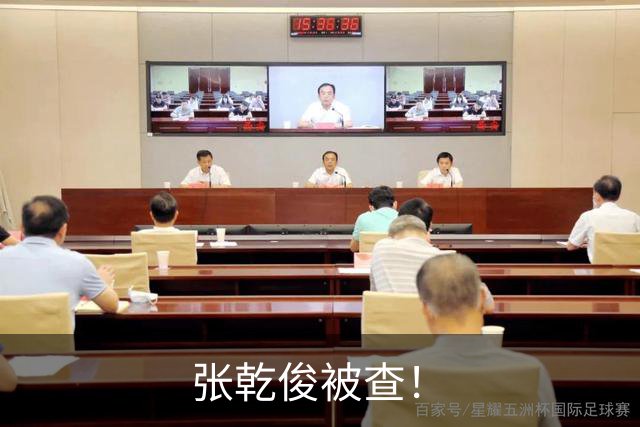 张乾俊被查！