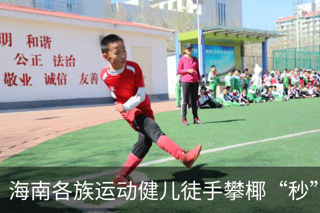 海南各族运动健儿徒手攀椰“秒”登顶