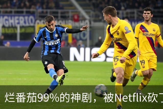 烂番茄99%的神剧，被Netflix砍了7年还在被催更
