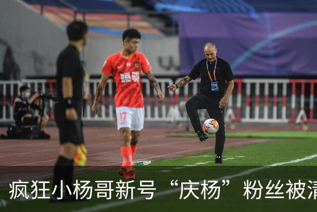 疯狂小杨哥新号“庆杨”粉丝被清零，新增关注也不计入粉丝量
