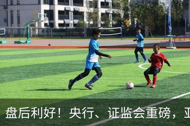 盘后利好！央行、证监会重磅，亚太股市反弹，anthropic、马斯克都开始捐股份了